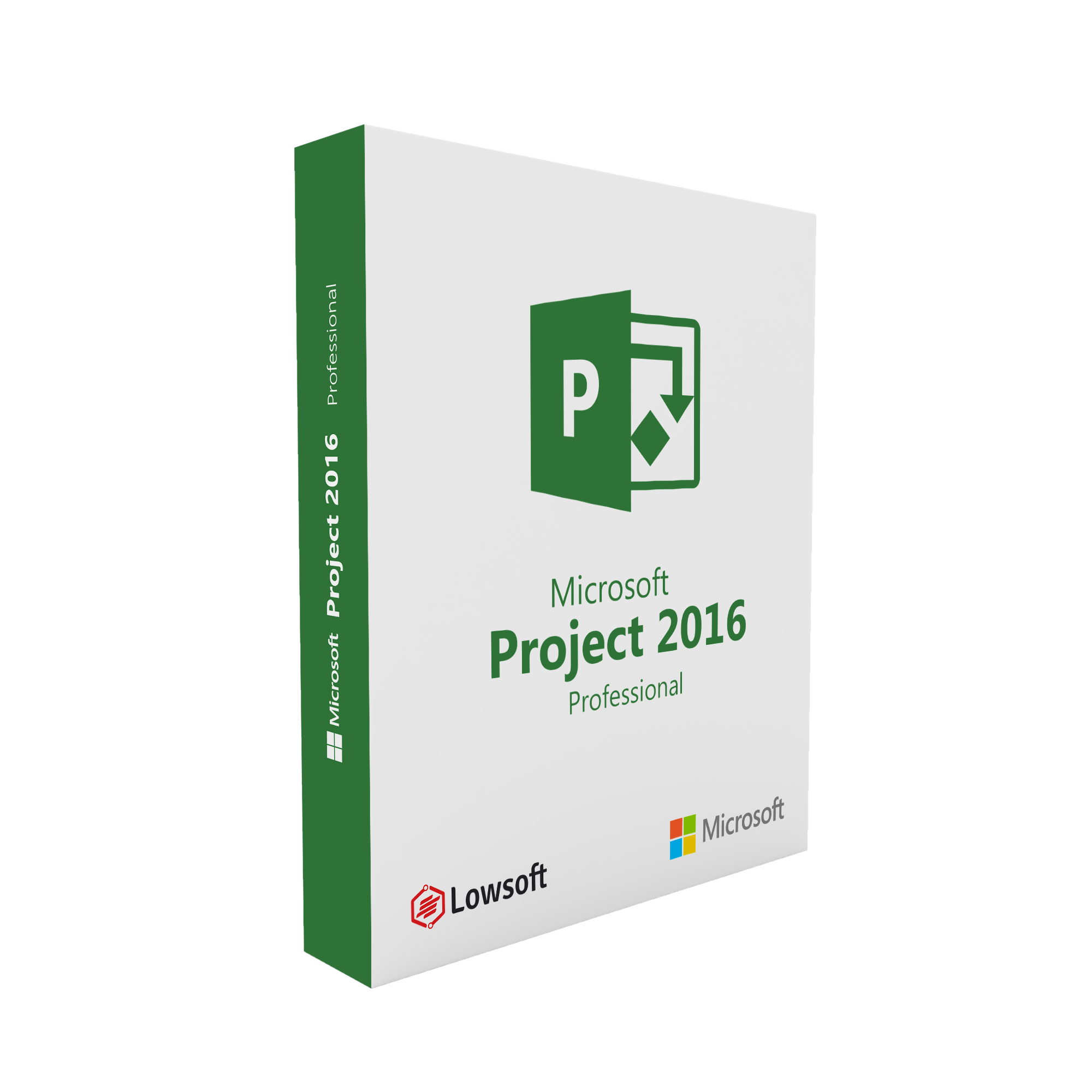 Microsoft Project 2016 Professional